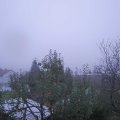 Webcam_20241030-073000