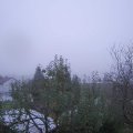 Webcam_20241030-080000