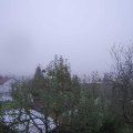 Webcam_20241030-083000