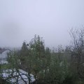 Webcam_20241030-084500