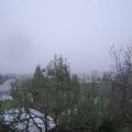 Webcam_20241030-091500
