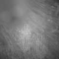 Webcam_20241031-050000