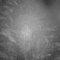 Webcam_20241031-051500