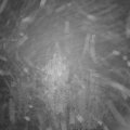 Webcam_20241031-053000