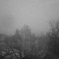 Webcam_20241031-070000