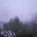 Webcam_20241031-071500