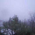 Webcam_20241031-073000