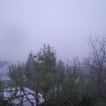 Webcam_20241031-074500