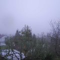 Webcam_20241031-080000