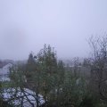 Webcam_20241031-081500