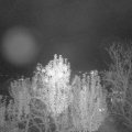 Webcam_20241031-201500