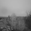 Webcam_20241101-070000