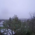 Webcam_20241101-080000