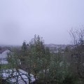 Webcam_20241101-081500