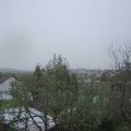 Webcam_20241101-111500