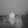 Webcam_20241102-064500