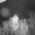 Webcam_20241102-194500