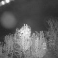 Webcam_20241102-201500