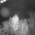 Webcam_20241102-204500