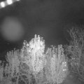 Webcam_20241102-210000