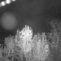 Webcam_20241102-211500