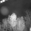 Webcam_20241103-194500