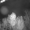 Webcam_20241103-201500