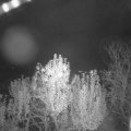 Webcam_20241103-204500