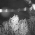 Webcam_20241104-194500