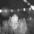 Webcam_20241104-201500