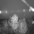 Webcam_20241105-173000