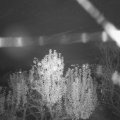Webcam_20241105-174500