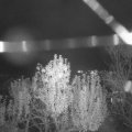 Webcam_20241105-193000