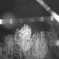 Webcam_20241105-194500
