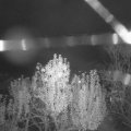 Webcam_20241105-201500