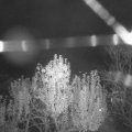 Webcam_20241105-204500
