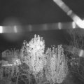 Webcam_20241106-061500