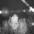 Webcam_20241106-063000