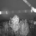 Webcam_20241106-064500