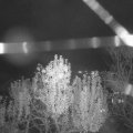 Webcam_20241106-191500