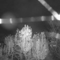 Webcam_20241106-194500