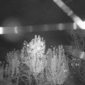 Webcam_20241106-201500