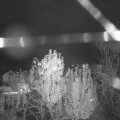 Webcam_20241106-204500