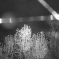 Webcam_20241106-211500