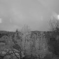 Webcam_20241107-070000