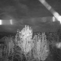 Webcam_20241107-174500