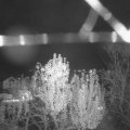 Webcam_20241107-194500