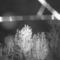 Webcam_20241108-060000