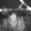 Webcam_20241108-194500