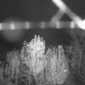 Webcam_20241108-201500